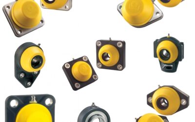 Supporti Con Cuscinetto Orientabile